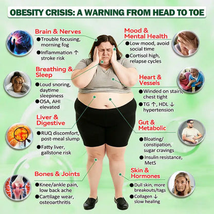 𝐌𝐨𝐫𝐢𝐧𝐠𝐚 · 𝐁𝐞𝐫𝐛𝐞𝐫𝐢𝐧𝐞 × 𝐍𝐀𝐃+ 𝟏𝟎-𝐢𝐧-𝟏 𝐀𝐝𝐯𝐚𝐧𝐜𝐞𝐝 𝐍𝐚𝐧𝐨 𝐌𝐢𝐜𝐫𝐨𝐧𝐞𝐞𝐝𝐥𝐞 𝐏𝐚𝐭𝐜𝐡 — 𝐎𝐧𝐜𝐞 𝐃𝐚𝐢𝐥𝐲, 𝐕𝐢𝐬𝐢𝐛𝐥𝐞 𝐑𝐞𝐬𝐮𝐥𝐭𝐬 𝐢𝐧 𝟕 𝐃𝐚𝐲𝐬